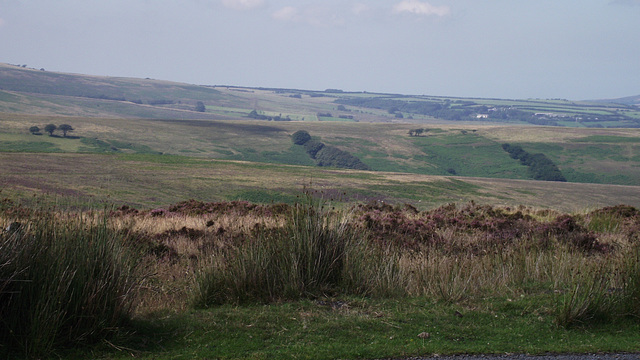 Looking down towards the sea from Exmoor