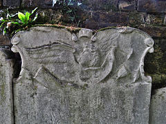 dartford , st edmunds pleasance, kent