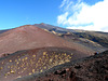 Mount Etna- Silvester Craters