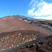 Mount Etna- Silvester Craters