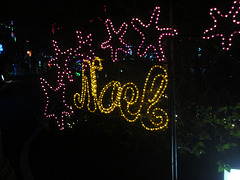 Christmas Lights Tmba Lions 2019 5970