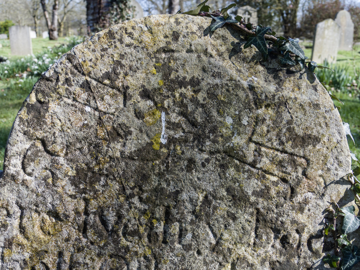 Knebworth skull (1) detail