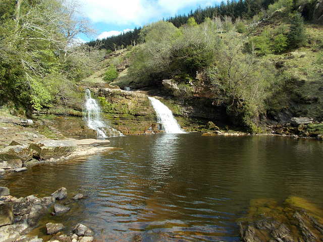 wcl - Crammel Linn