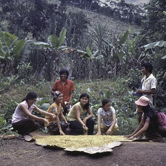 Many smiles from Chazuta - Peru