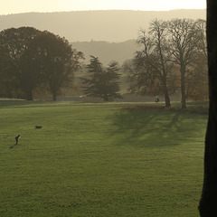 Petworth Park