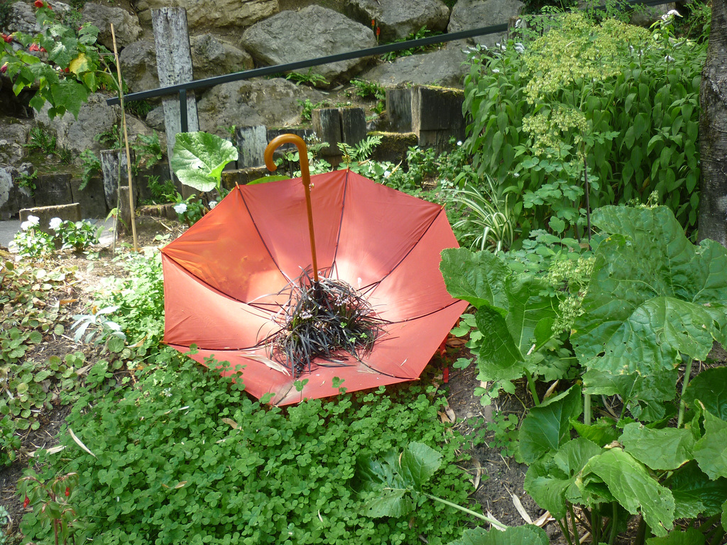 Détournement de parapluie.