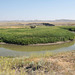 horseshoe bend- Frenchman River