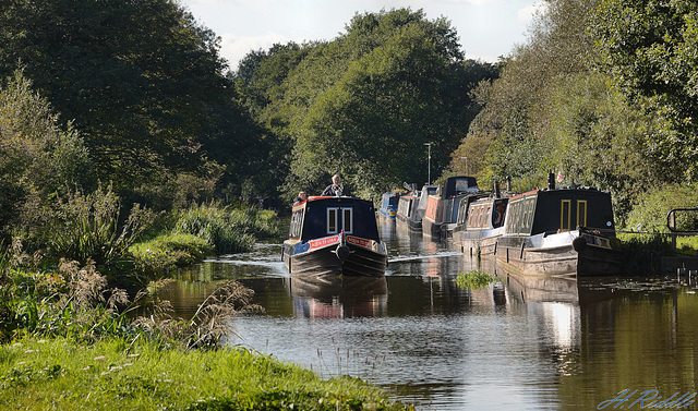 Life on the canal