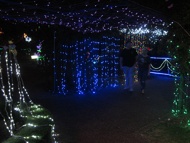 Christmas Lights Tmba Lions 2019 5972