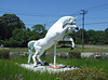 Horse at Casa Basso, July 2011