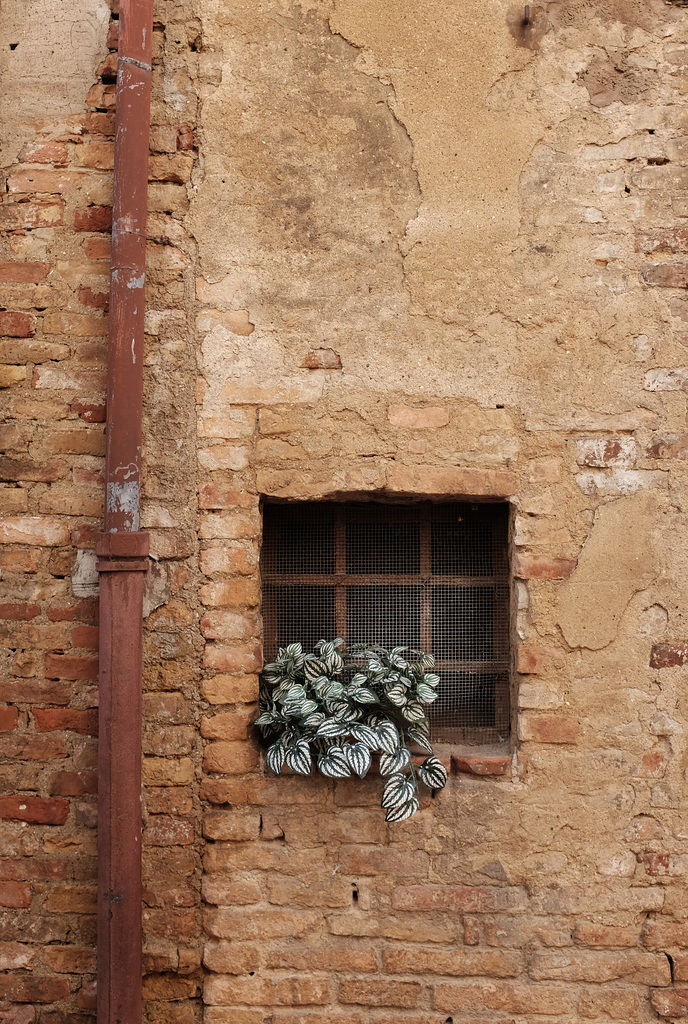 Tuscany 2015 San Gimignano 29 X100t