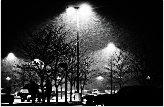 Winter night