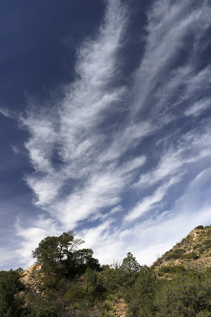 West Texas Skies