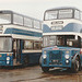 Delaine Coaches 72 (ACT 540L) and 50 (RCT 3) at the Cambus garage open day in Cambridge – 17 Sep 1989 (102-8)