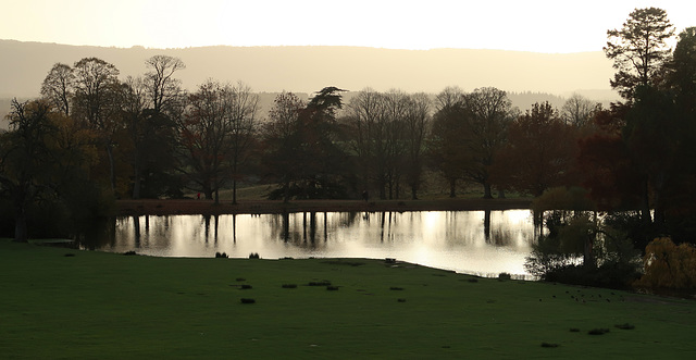 Upper Pond, Petworth Park