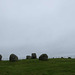 Torhouse Stone Circle