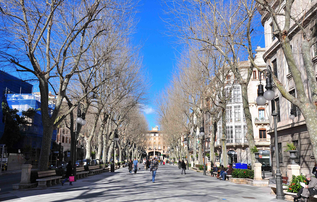 Palma de Mallorca (© Buelipix)