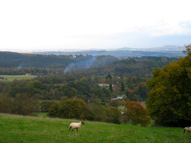 Looking over to the Clent Hills