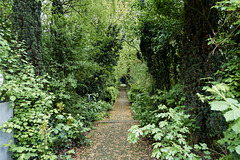 -eingang-06427-co-28-04-19 -eingang-06427-co-28-04-19