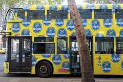 IMG 6067-001-Banana Bus