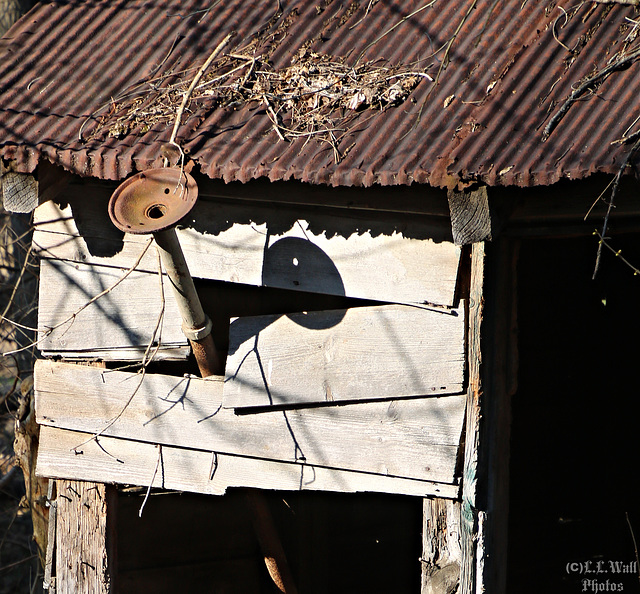 Rust and Shadows