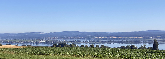 Insel Reichenau