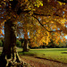 Parc du Château de Chambray