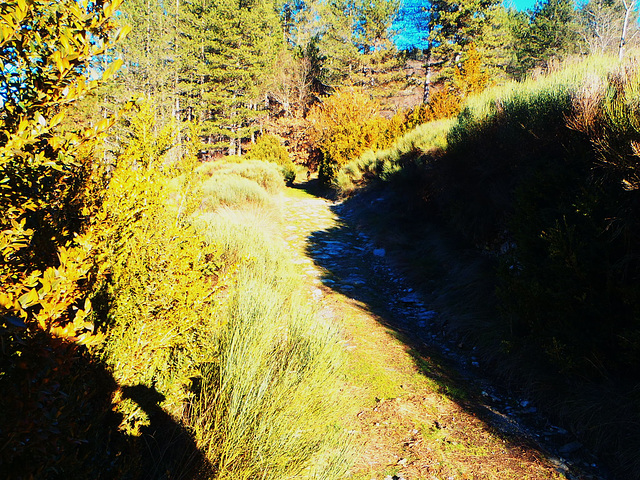 33-Le chemin des Combes