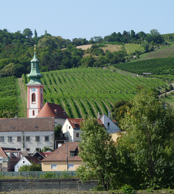 Church and Vineyards