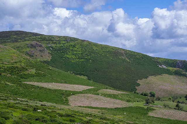 A view from the Horseshoe Pass3