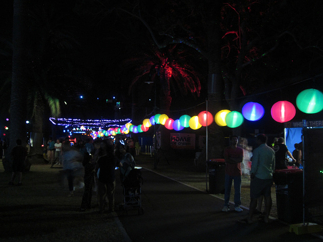 Christmas Lights Tmba Lions 2019 5976