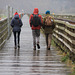 Barmouth Bridge