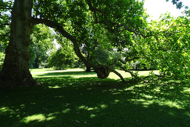 Eggenberg Schloss Gardens