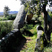 Valencia de Alcántara - Dolmen Cajirón 1