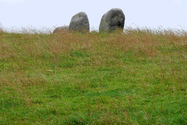 Torhouse Stone Circle