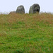 Torhouse Stone Circle