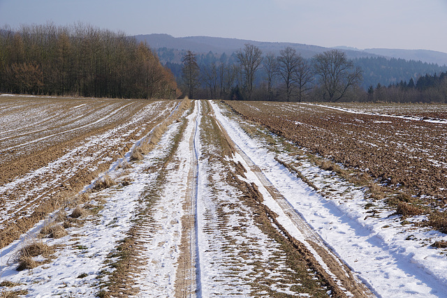 Feldweg bei Düna