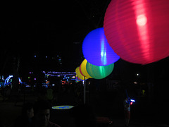 Christmas Lights Tmba Lions 2019 5978