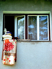 #9 - Petar Bojić - Morning airing - 35̊ 0points