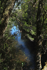 The Franklin River