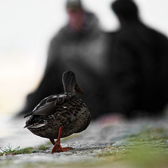 20231008_regensburg rundgang neu 300mm 2.8
