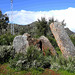 Valencia de Alcántara - Dolmen Cajirón 1