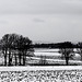 Winter in der Wetterau