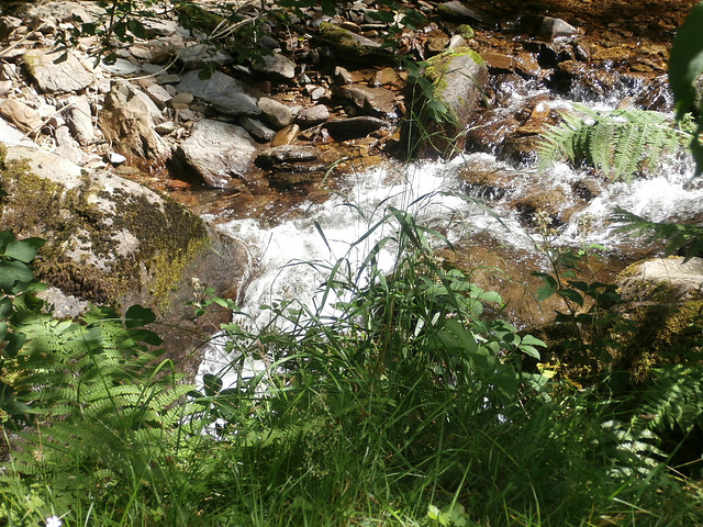 Wonderful sound of rushing water