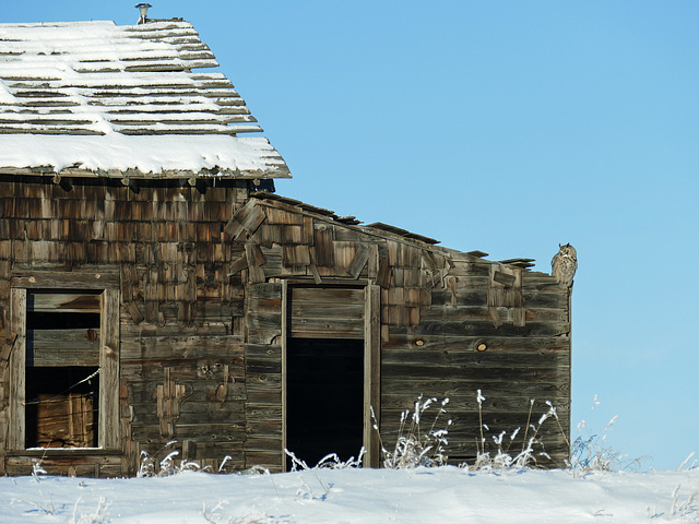 Winter on the prairies