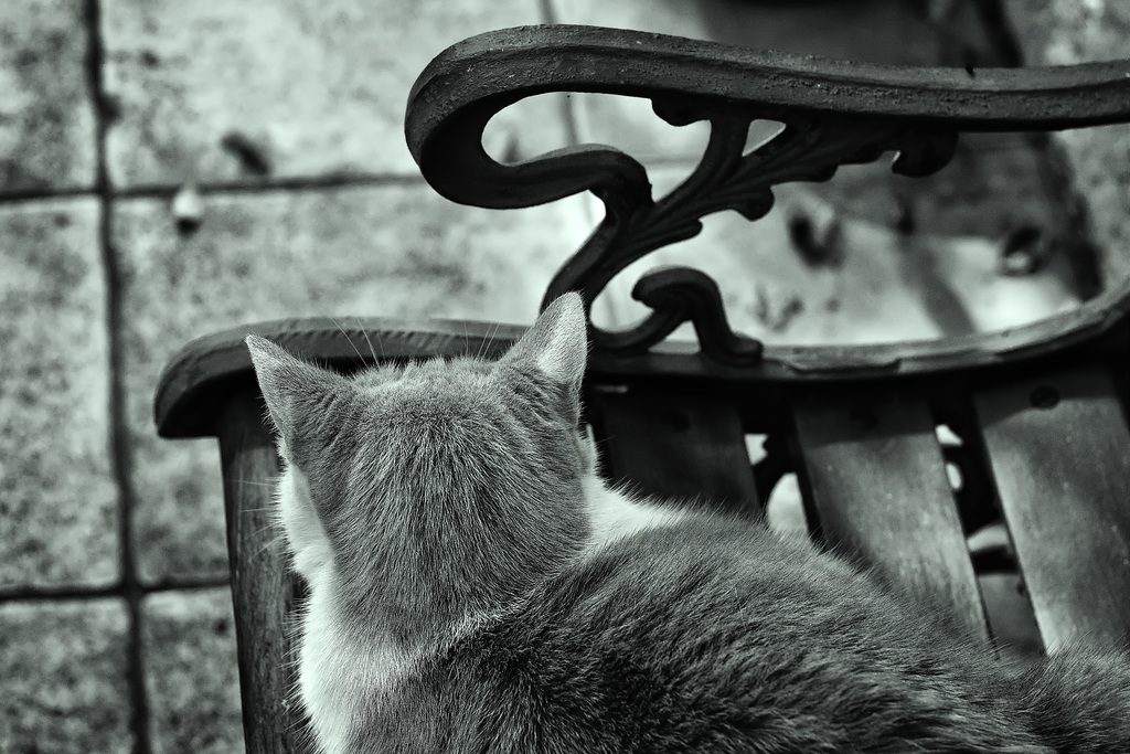 Méditation sur un banc.