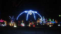 Christmas Lights Tmba Lions 2019 5982crop