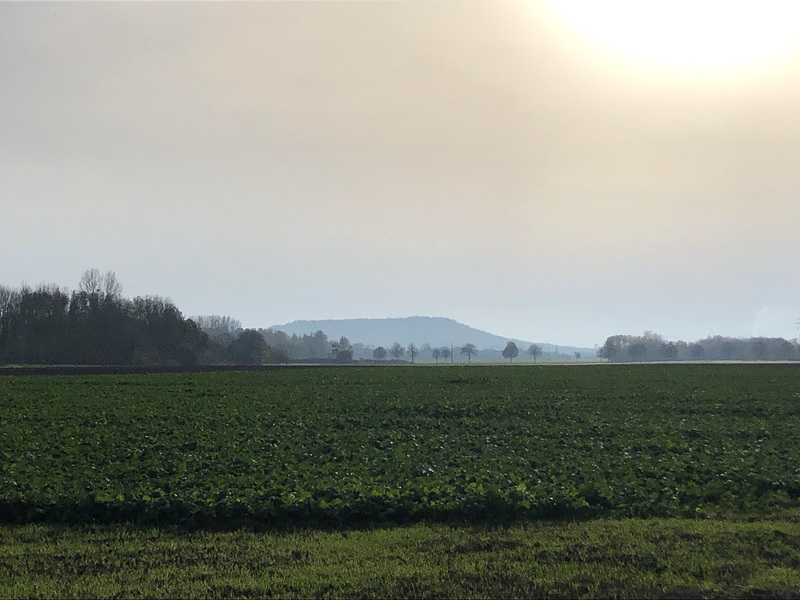 Vertus Commune de BLANCS-COTEAUX