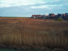 cley marshes, norfolk