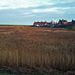 cley marshes, norfolk